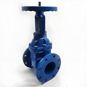 手動(dòng)閘閥Z41T-16 DN50/DN65廠家直銷(xiāo)，上海發(fā)